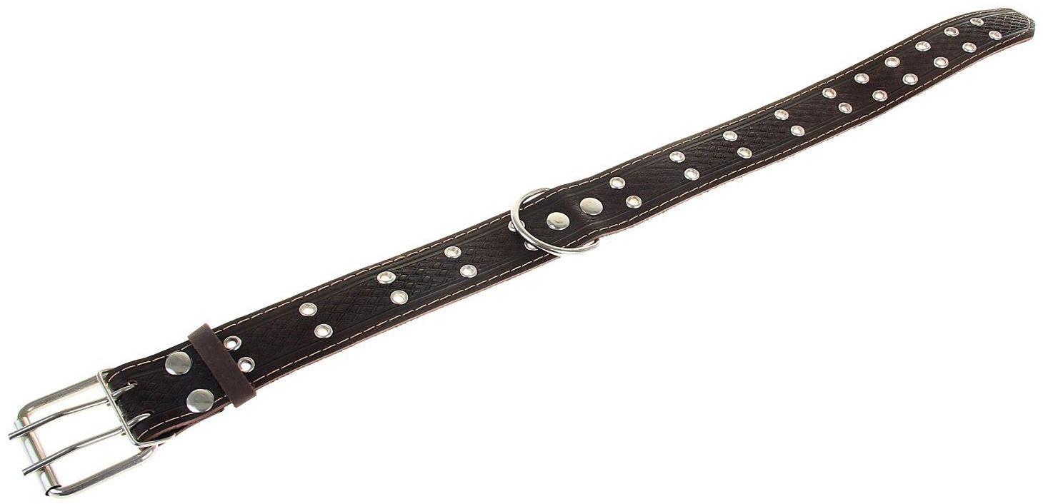 Ошейник кожаный тисненый однослойный, безразмерный, 74 х 4,5 см, ОШ 35-65 см, микс цветов