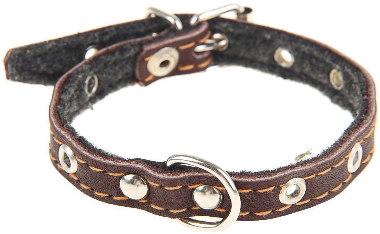 Ошейник кожаный тисненый на фетре, 30 х 1,2 см, безразмерный, микс цветов