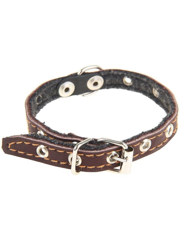 Ошейник кожаный тисненый на фетре, 30 х 1,2 см, безразмерный, микс цветов