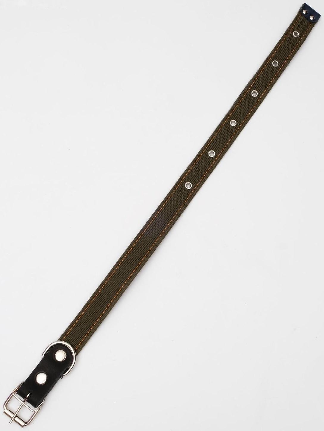 Ошейник брезентовый на фетре, 64 х 3 см, ОШ 30-55 см, тёмно-зелёный