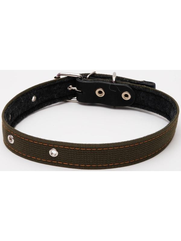 Ошейник брезентовый на фетре, 64 х 3 см, ОШ 30-55 см, тёмно-зелёный