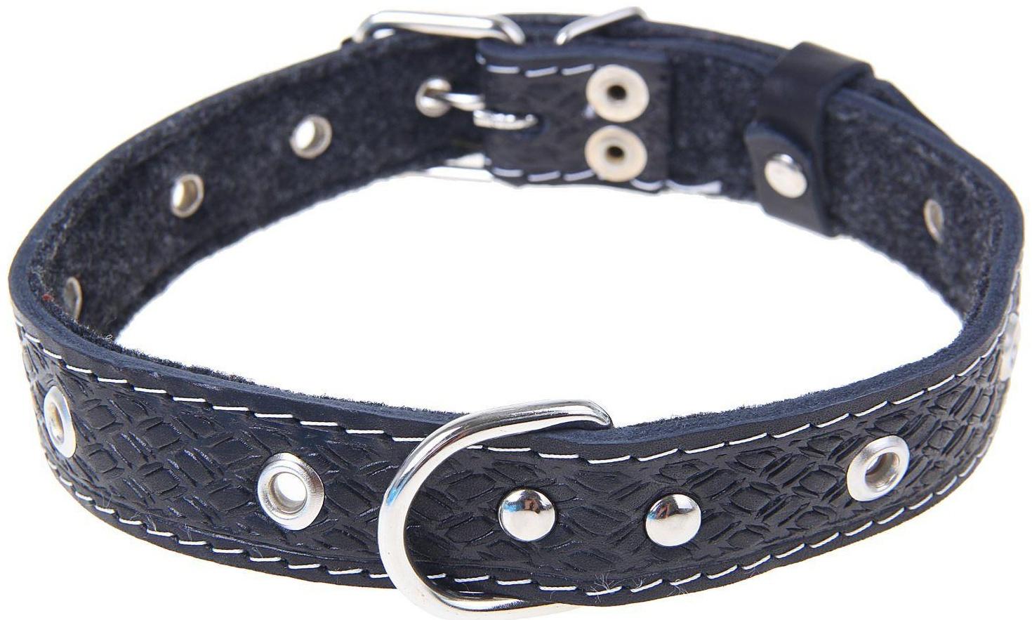 Ошейник кожаный тисненый на фетре, 54 х 2,5 см, безразмерный, микс цветов