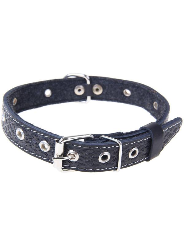 Ошейник кожаный тисненый на фетре, 54 х 2,5 см, безразмерный, микс цветов