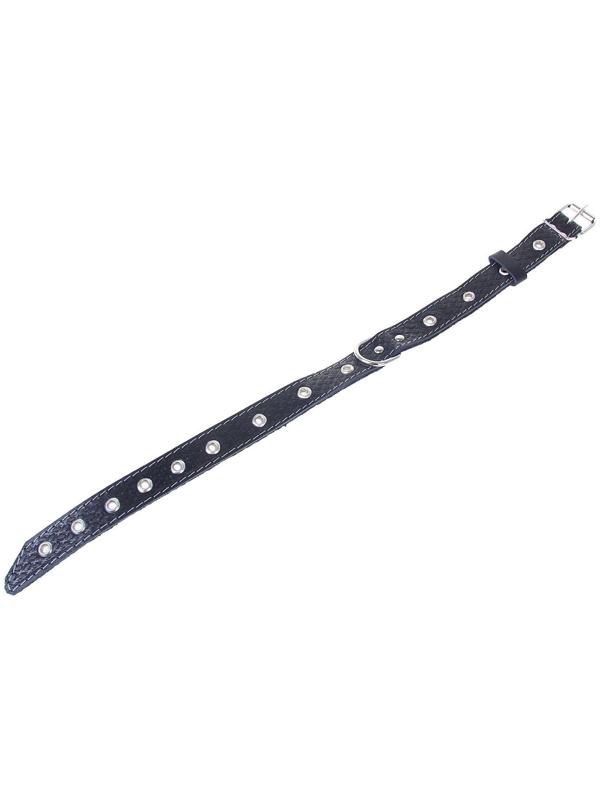 Ошейник кожаный тисненый на фетре, 54 х 2,5 см, безразмерный, микс цветов