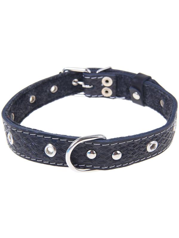 Ошейник кожаный тисненый на фетре, 54 х 2,5 см, безразмерный, микс цветов