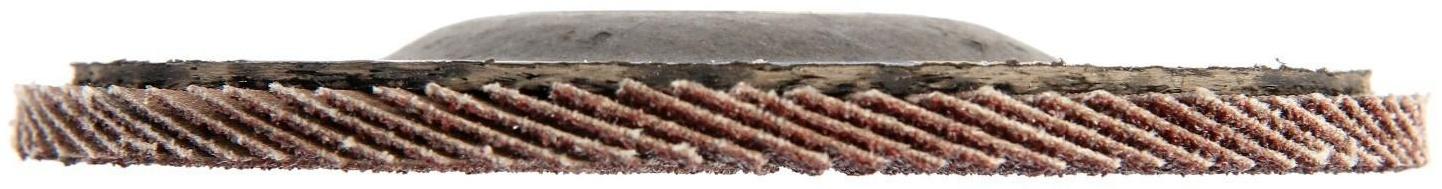 Круг лепестковый торцевой ТУНДРА, 125 х 22 мм, Р60