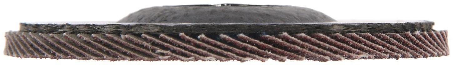 Круг лепестковый торцевой ТУНДРА, 125 х 22 мм, Р80