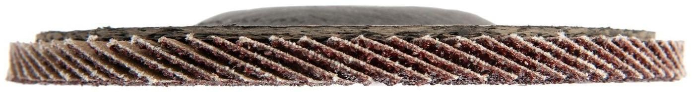 Круг лепестковый торцевой ТУНДРА, 125 х 22 мм, Р40