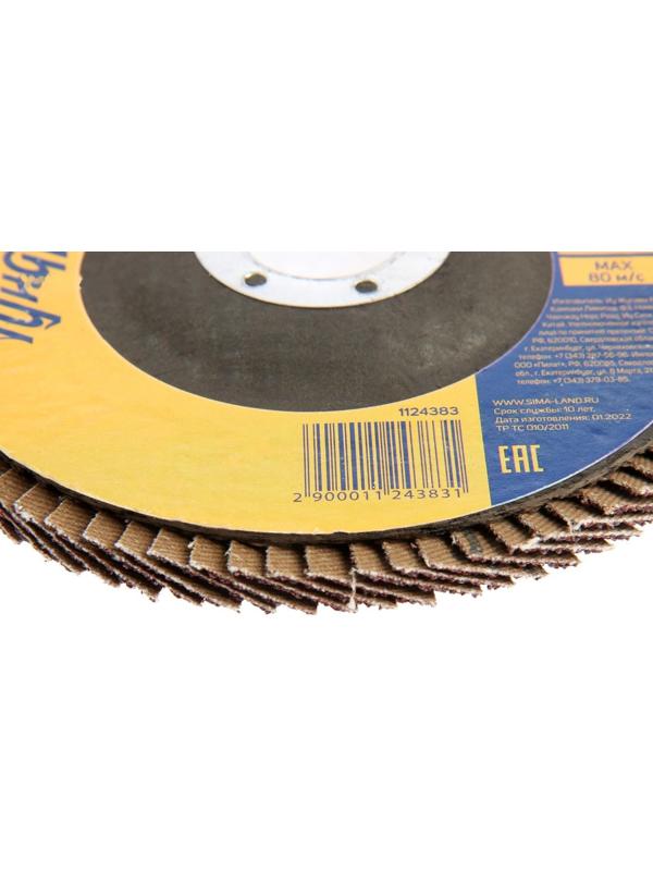 Круг лепестковый торцевой ТУНДРА, 125 х 22 мм, Р40