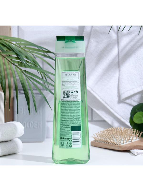 Шампунь для волос Чистая линия «Объём и сила», 400 мл