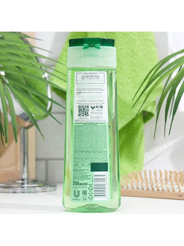 Шампунь для волос Чистая линия «Укрепляющий», крапивой, 250 мл