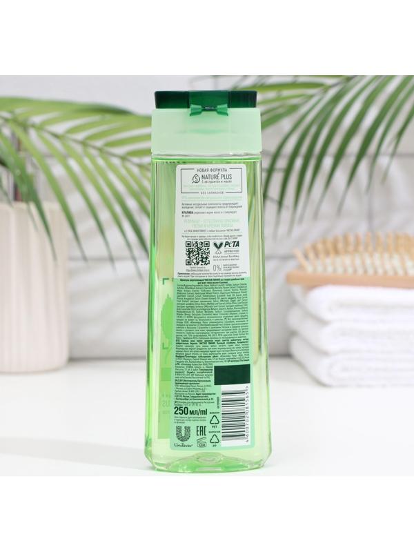 Шампунь для волос Чистая линия «Укрепляющий», крапивой, 250 мл