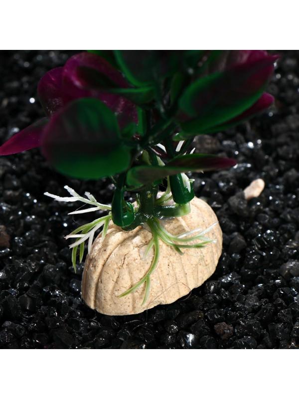 Растение искусственное аквариумное Ротала, 20 см