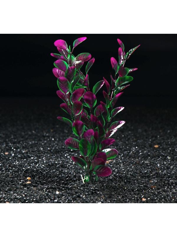 Растение искусственное аквариумное Ротала, 20 см