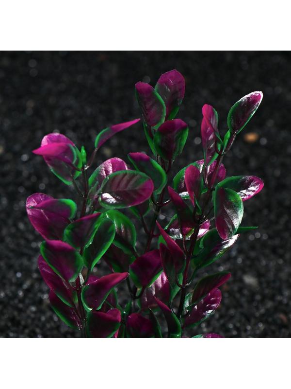 Растение искусственное аквариумное Ротала, 20 см