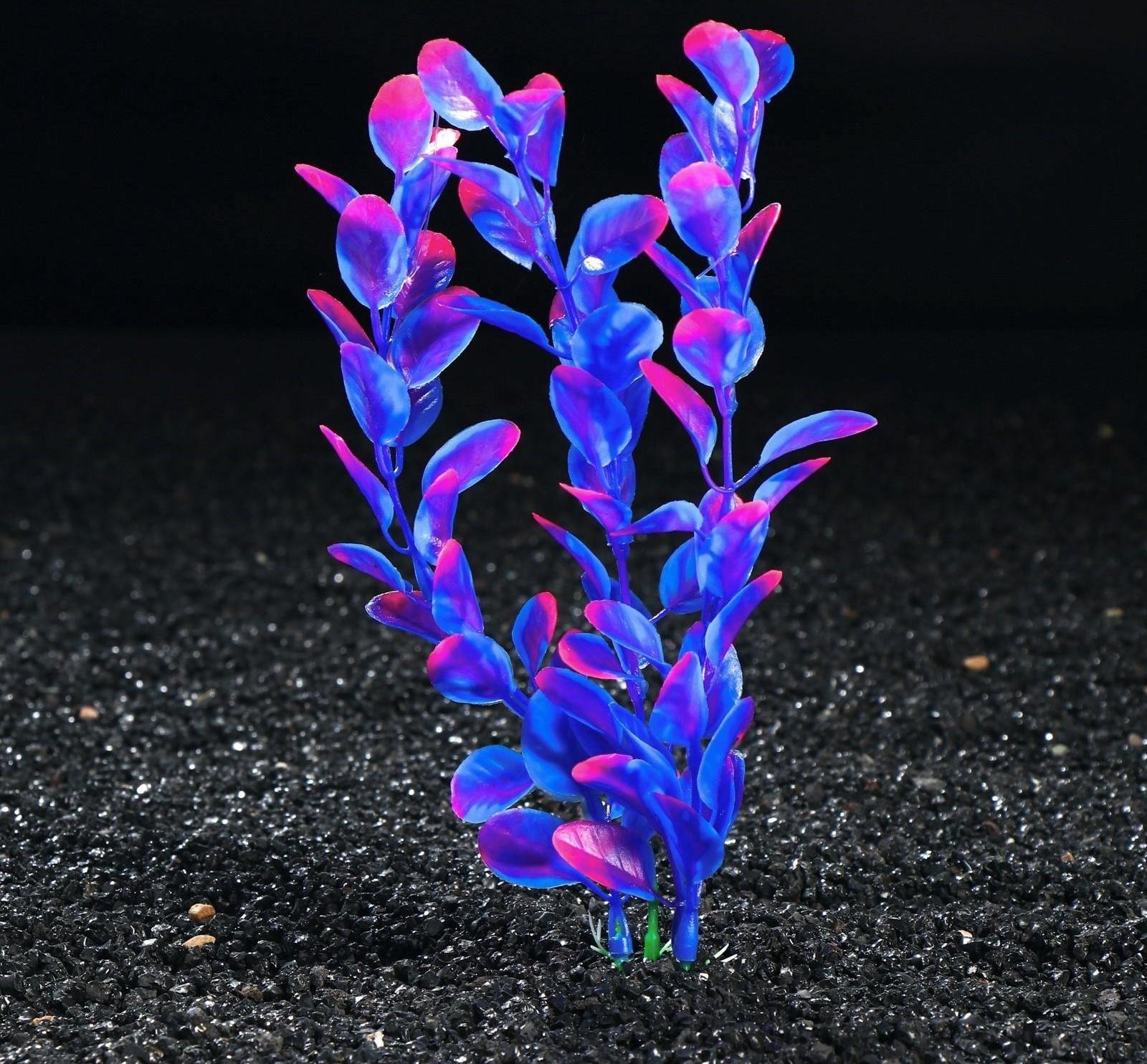 Растение искусственное аквариумное Бакопа Фиолетовая, 20 см