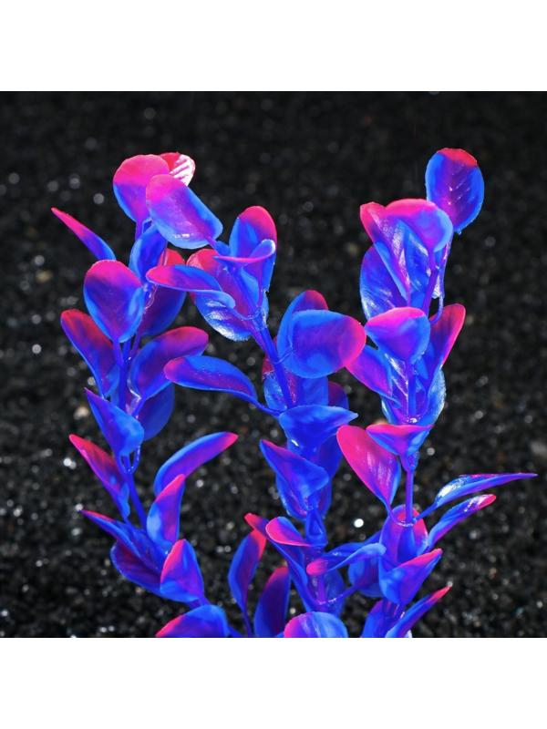 Растение искусственное аквариумное Бакопа Фиолетовая, 20 см