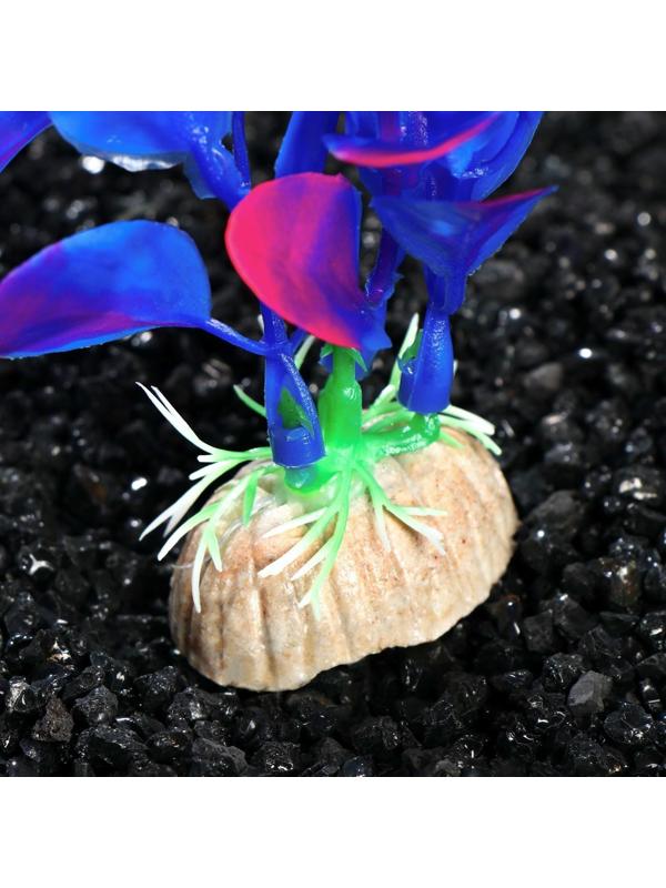 Растение искусственное аквариумное Бакопа Фиолетовая, 20 см