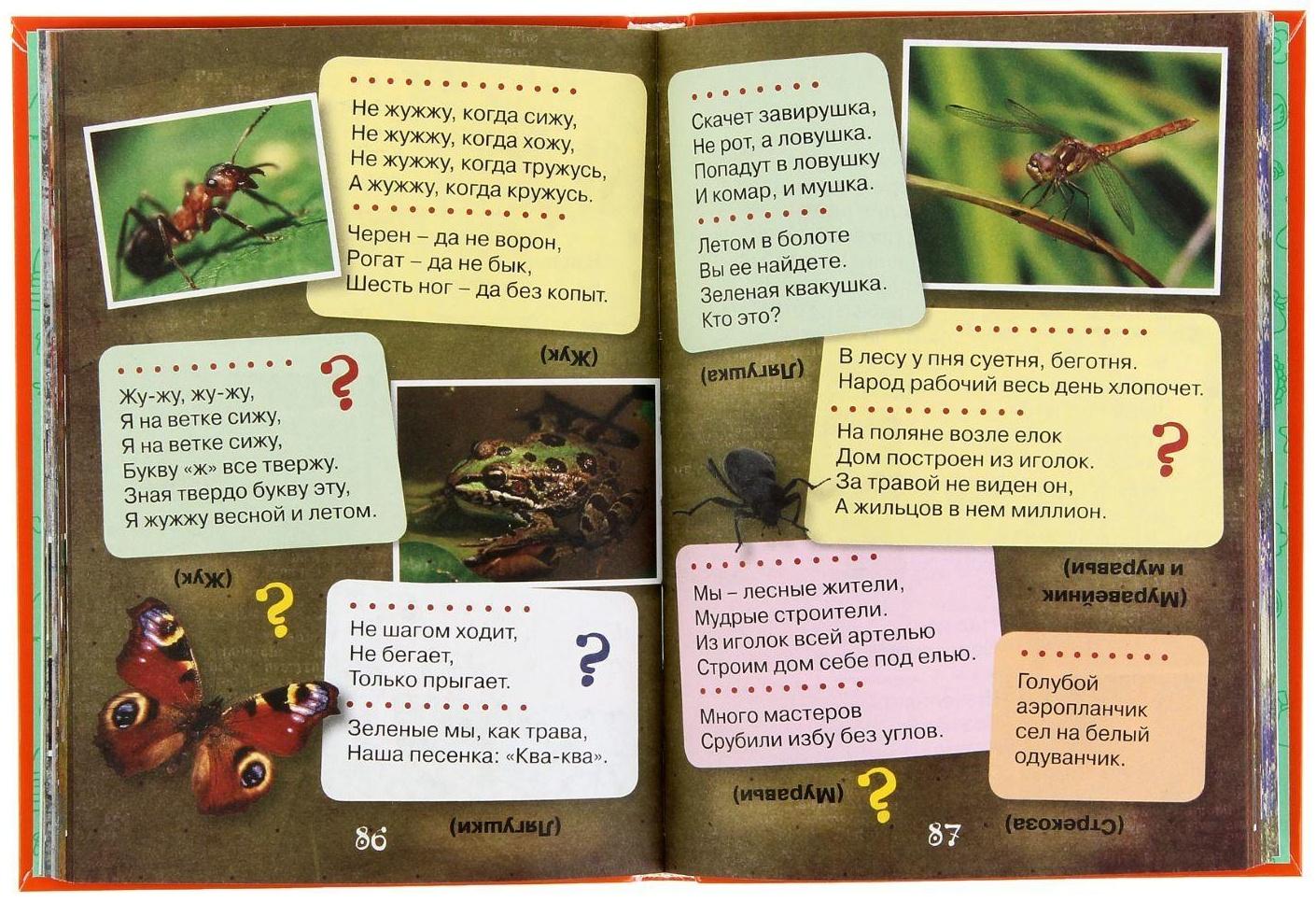 1001 загадка, Елкина Н. В., Тарабарина Т. И.