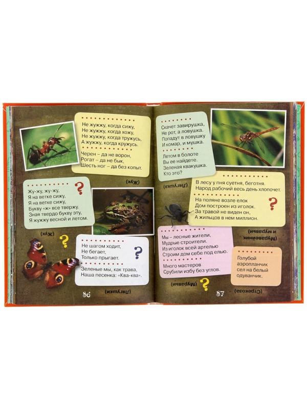 1001 загадка, Елкина Н. В., Тарабарина Т. И.