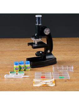 Микроскоп, кратность увеличения 450х, 200х, 100х