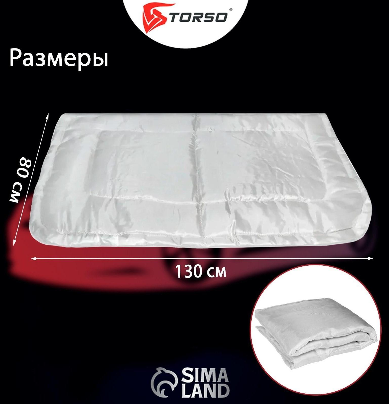 Автоодеяло для двигателя TORSO, 130 х 80 см