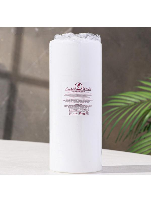 Свеча - цилиндр, 8х20 см, 90 ч, 795 г, белая