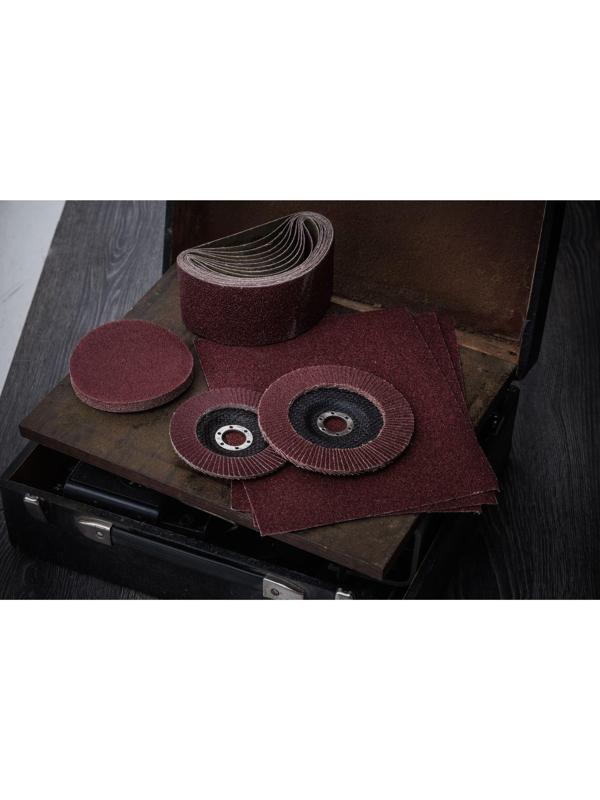 Шкурка шлифовальная в листах ТУНДРА, на тканевой основе водостойкая, 230 х 280, Р24, 10 шт.