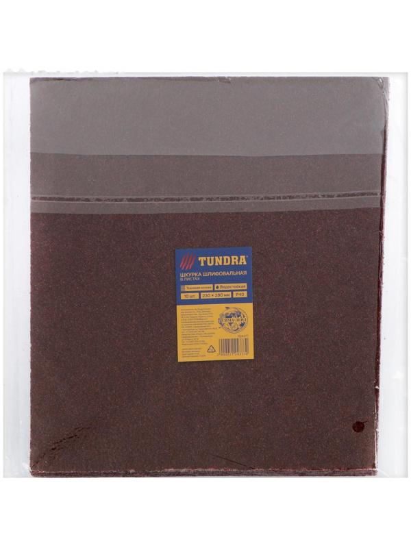 Шкурка шлифовальная в листах ТУНДРА, на тканевой основе водостойкая, 230 х 280, Р40, 10 шт.