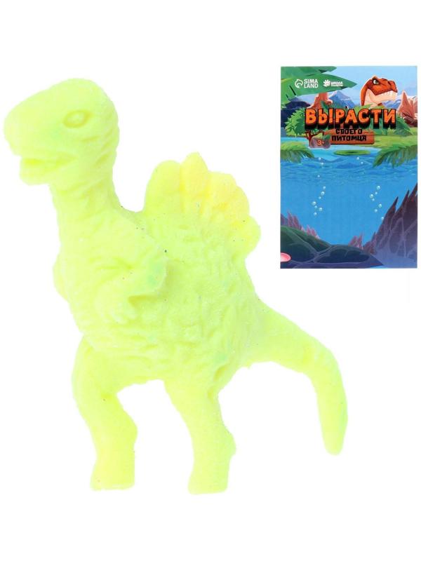 Растущие животные «Динозавр», МИКС