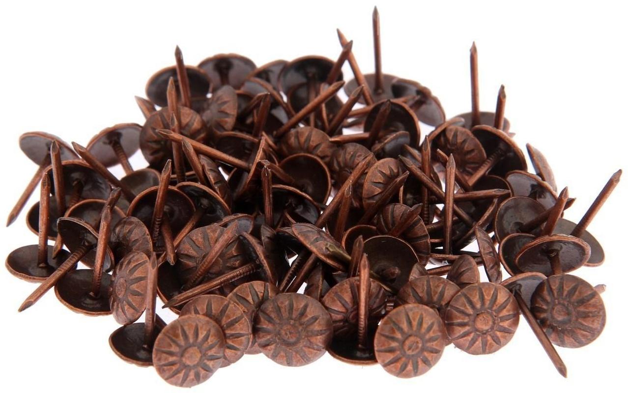 Гвозди декоративные, 16х11 мм, фактурные, цвет медь, в упаковке 100 шт.