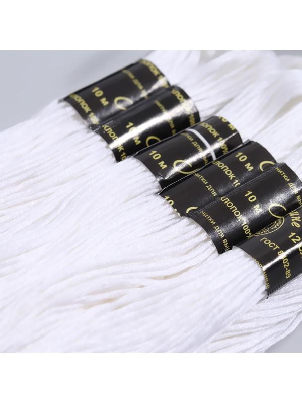 Нитки мулине, 10 ± 1 м, цвет белый №0101