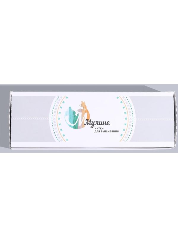 Нитки мулине, 10 ± 1 м, цвет белый №0101