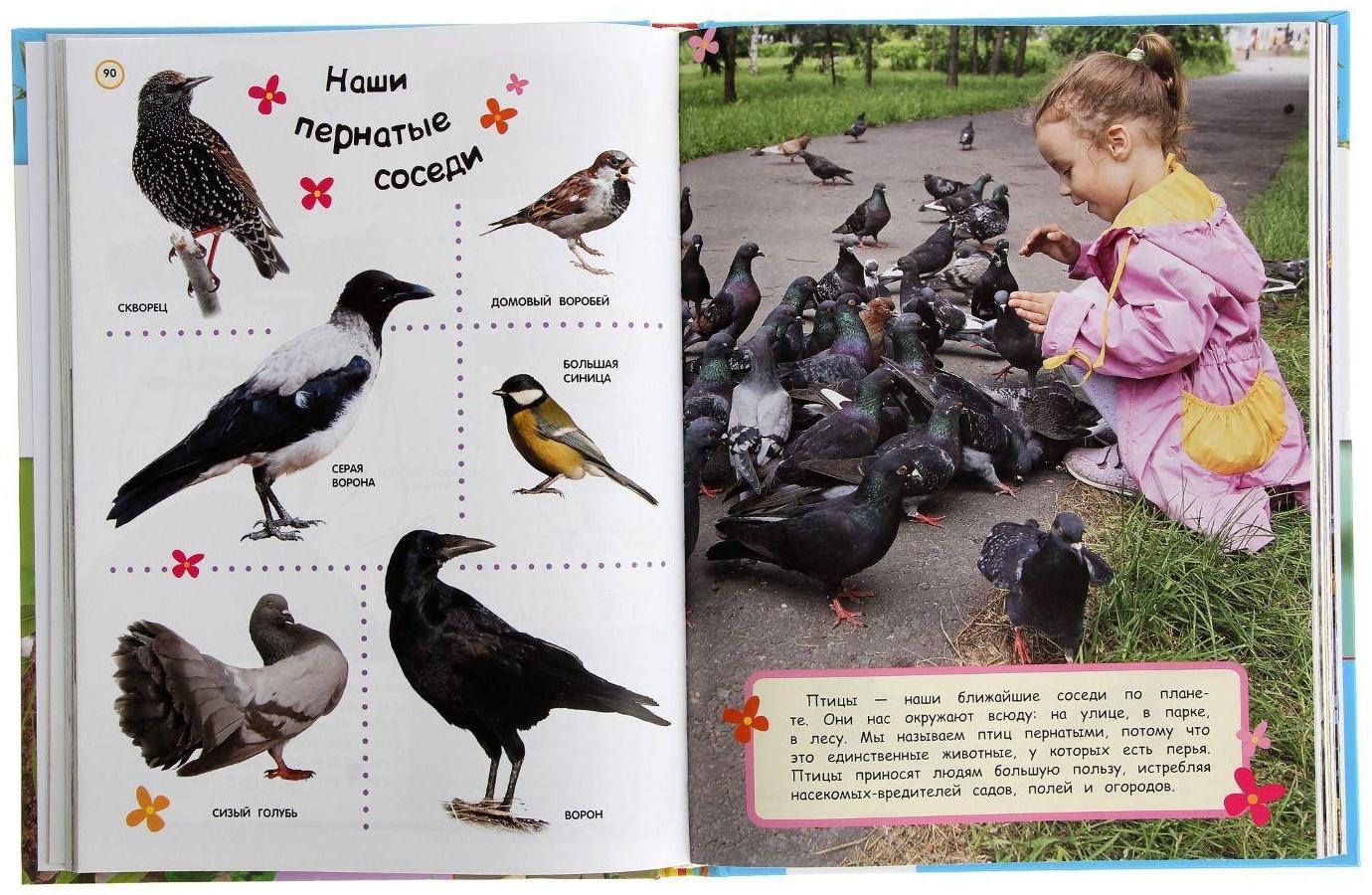 Большая энциклопедия в картинках