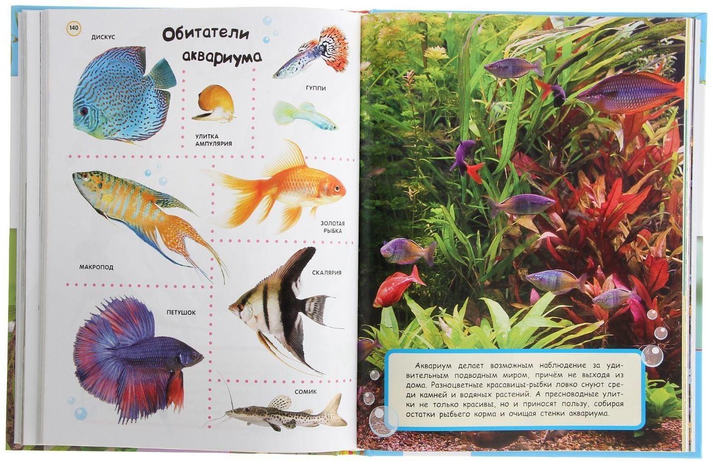 Большая энциклопедия в картинках