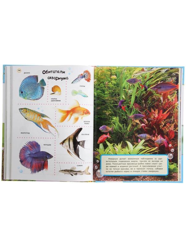 Большая энциклопедия в картинках