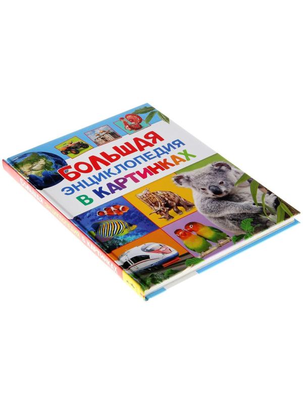 Большая энциклопедия в картинках