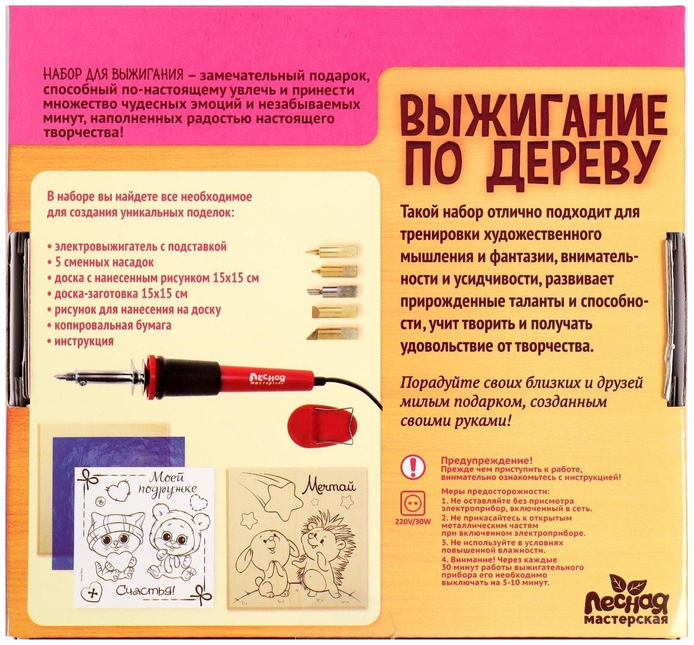 Набор для выжигания и росписи по дереву «Подружке»