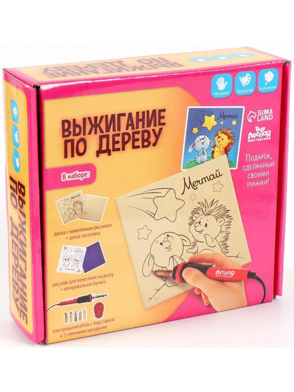 Набор для выжигания и росписи по дереву «Подружке»