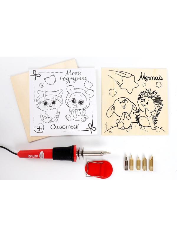 Набор для выжигания и росписи по дереву «Подружке»