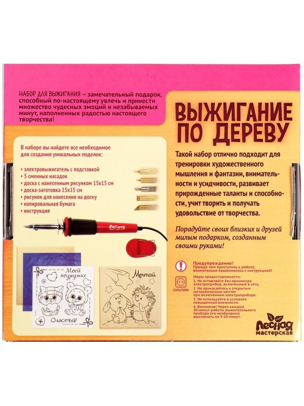 Набор для выжигания и росписи по дереву «Подружке»