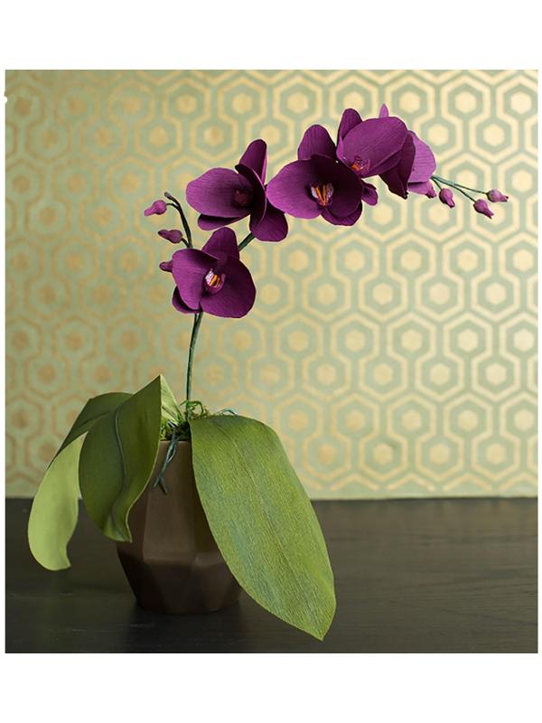 Бумага для упаковки и поделок, Cartotecnica Rossi, гофрированная, фиолетовая, однотонная, двусторонняя, рулон 1 шт., 0,5 х 2,5 м