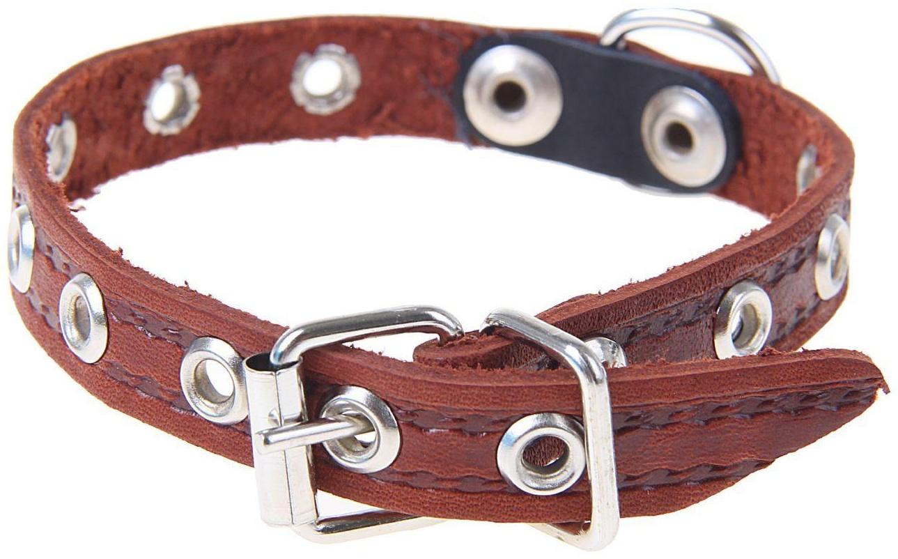 Ошейник кожаный тисненый однослойный, 29 х 1,2 см, безразмерный, микс цветов