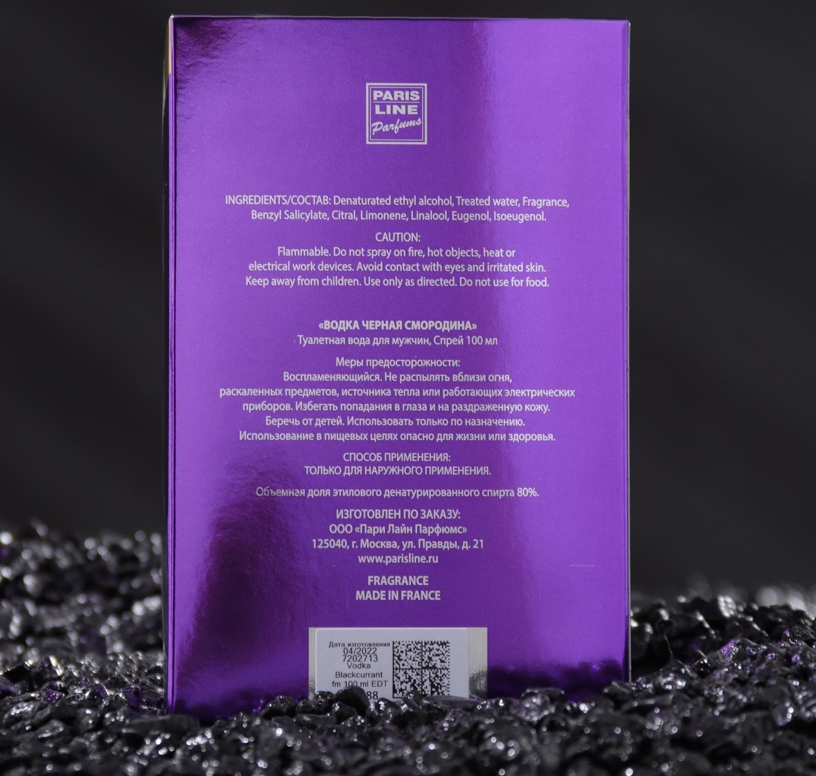 Туалетная вода мужская Vodka Blackcurrant Intense PerfumeD, 100 мл