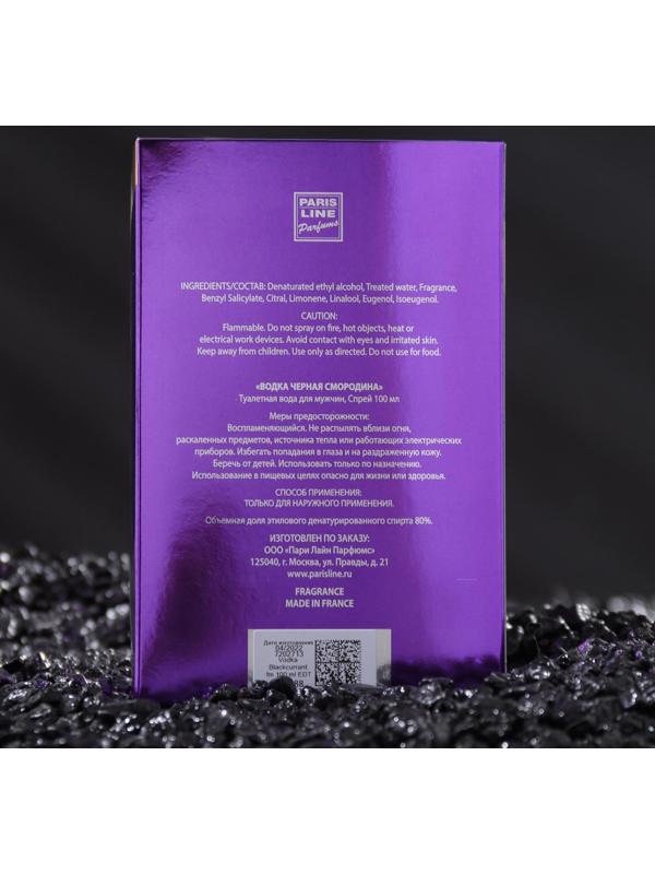 Туалетная вода мужская Vodka Blackcurrant Intense PerfumeD, 100 мл