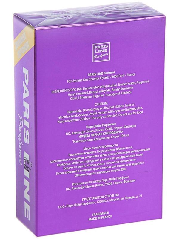 Туалетная вода мужская Vodka Blackcurrant Intense PerfumeD, 100 мл