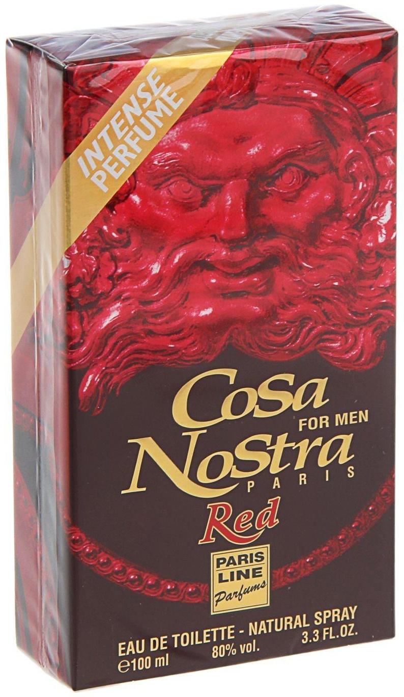 Туалетная вода мужская Cosa Nostra Red Intense Perfume, 100 мл