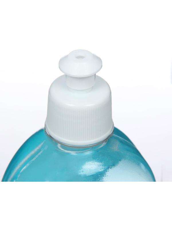 Ополаскиватель для посудомоечных машин Mister Dez Professional, 500 мл