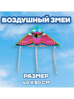 Воздушный змей «Сова», с леской