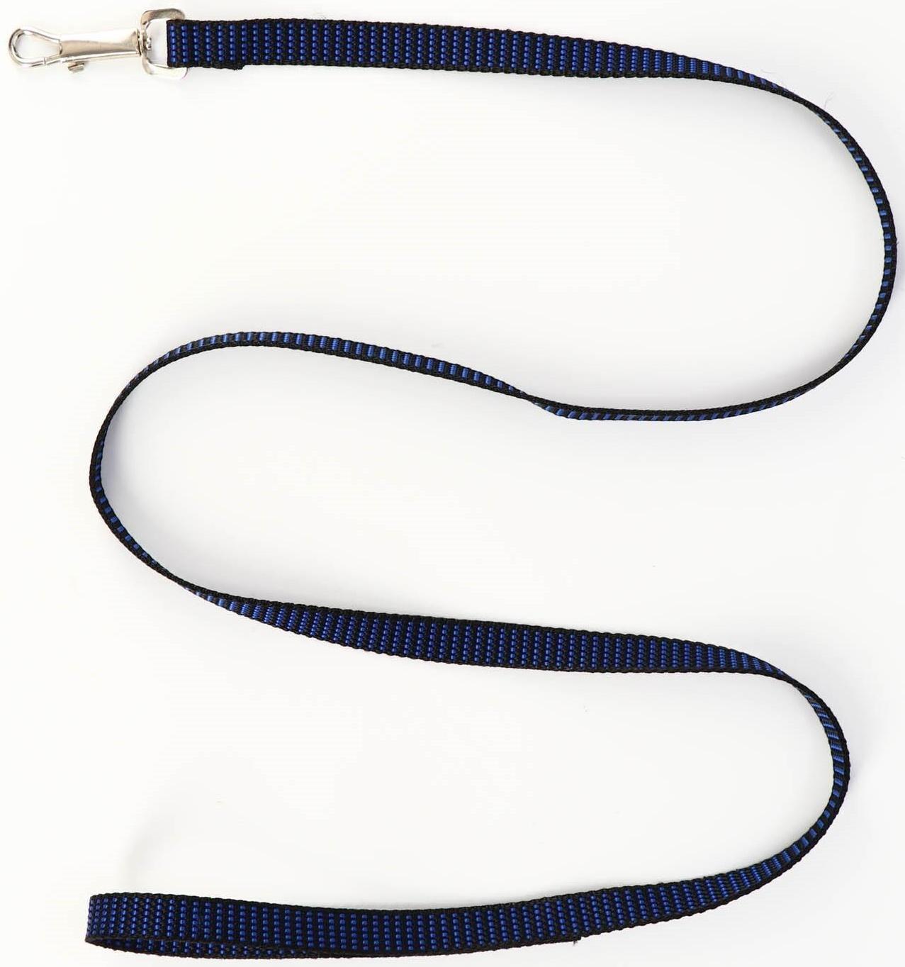 Комплект амуниции рельефный, 1,5 см, шлейка 36-49 см, поводок 120 см, сине-чёрный